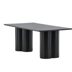 Olivia – Table basse – Noir – 120 x 60 cm