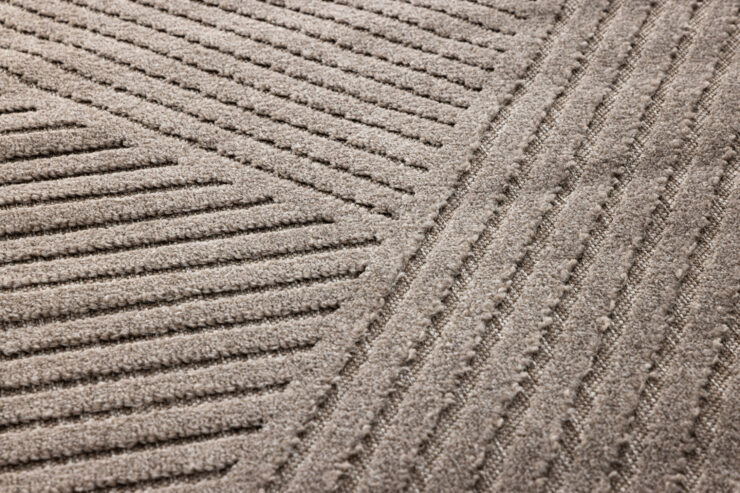 Aron – Tapis de salon – Marron – 290 x 200 cm