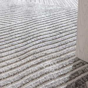 Aron – Tapis de salon – Gris – 290 x 200 cm