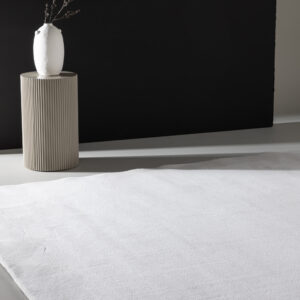 Nixie – Tapis de salon – Blanc – 350 x 240 cm