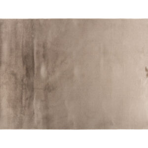 Leni – Tapis de salon – Beige – 350 x 240 cm