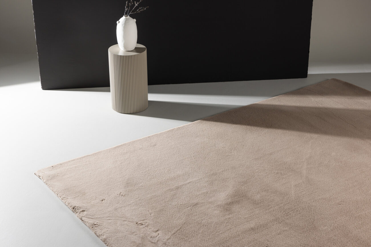 Leni – Tapis de salon – Beige – 350 x 240 cm