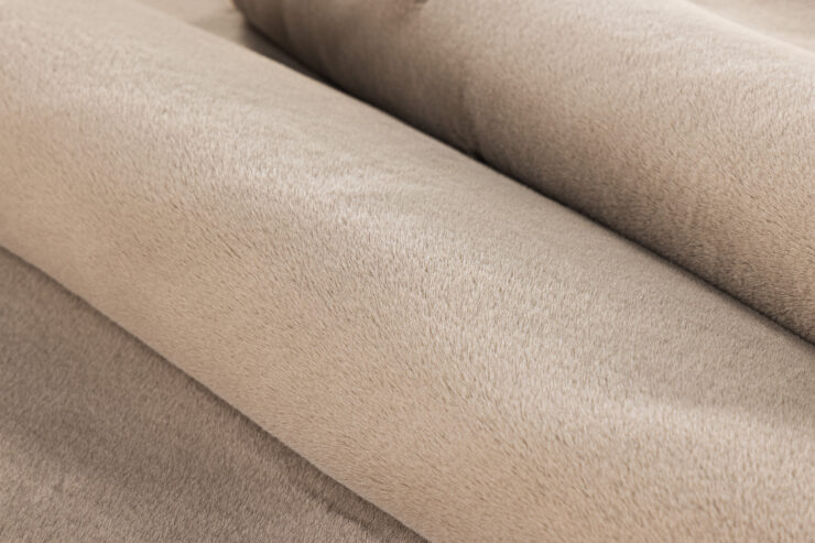 Leni – Tapis de salon – Beige – 350 x 240 cm