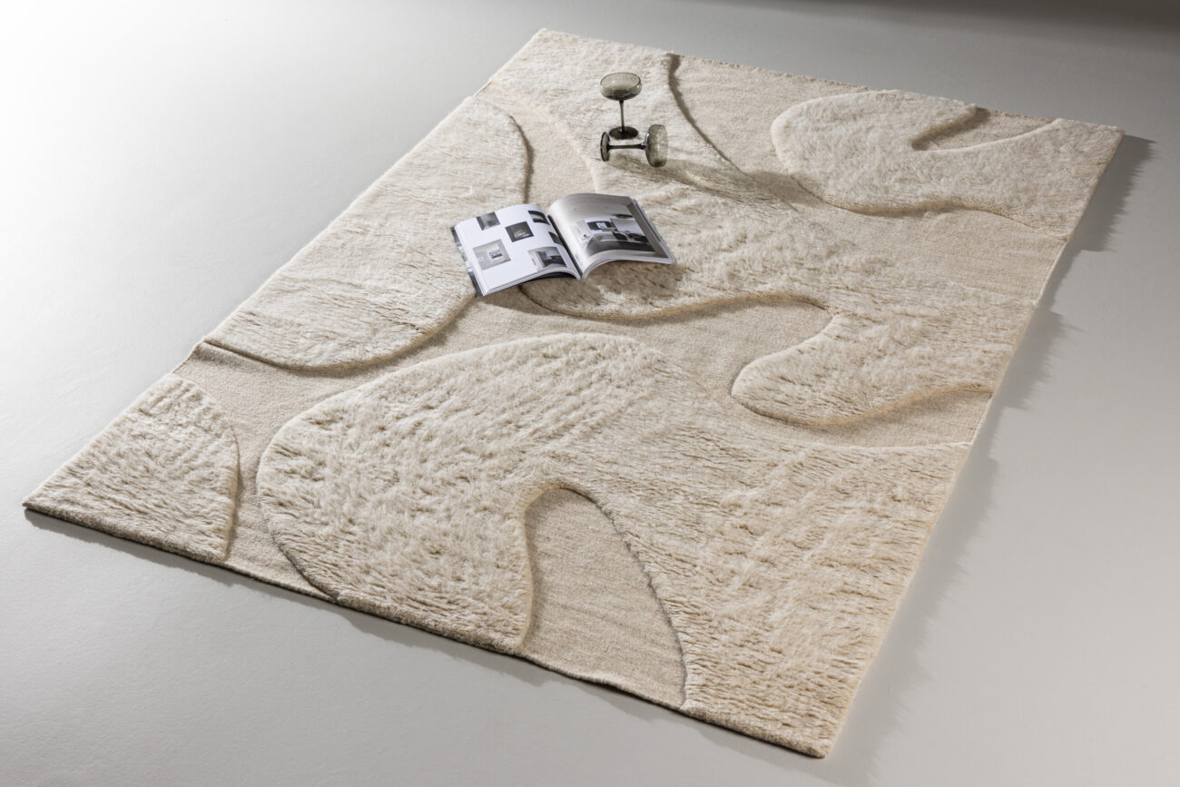 Boone – Tapis de salon – Beige – 290 x 200 cm