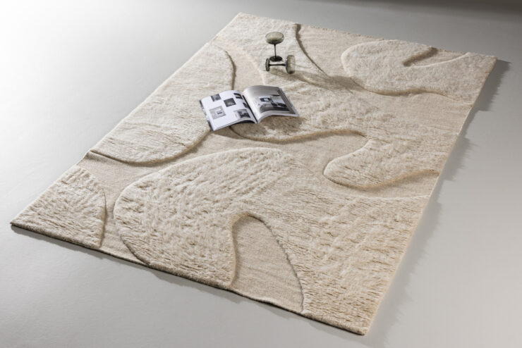 Boone – Tapis de salon – Beige – 290 x 200 cm