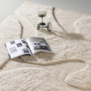 Boone – Tapis de salon – Beige – 230 x 160 cm