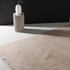 Leni – Tapis de salon – Beige – 290 x 200 cm