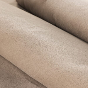 Leni – Tapis de salon – Beige – 290 x 200 cm