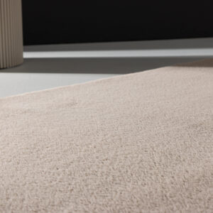 Leni – Tapis de salon – Beige – 290 x 200 cm