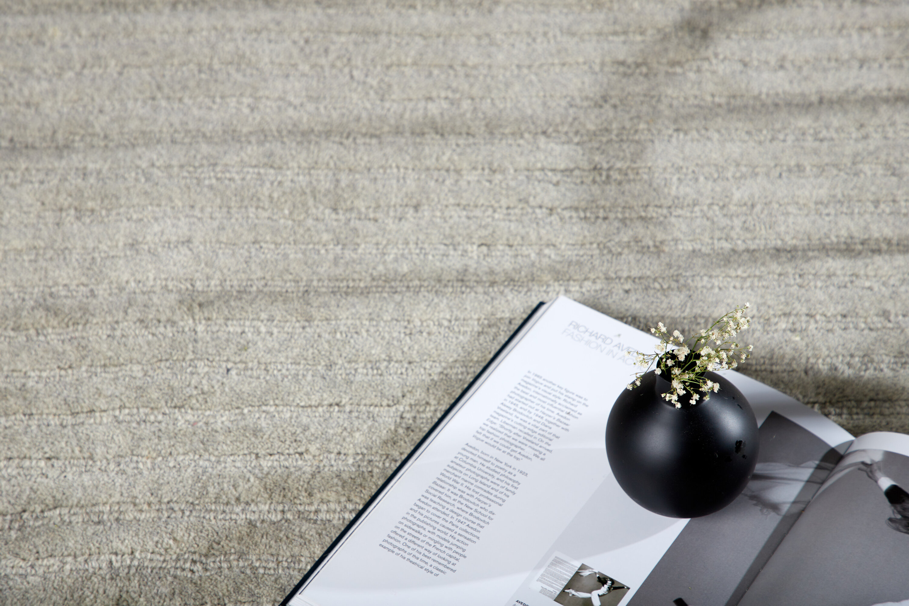 Milton tapis de salon gris clair 300 x 200 cm en situation dans une pièce décorée