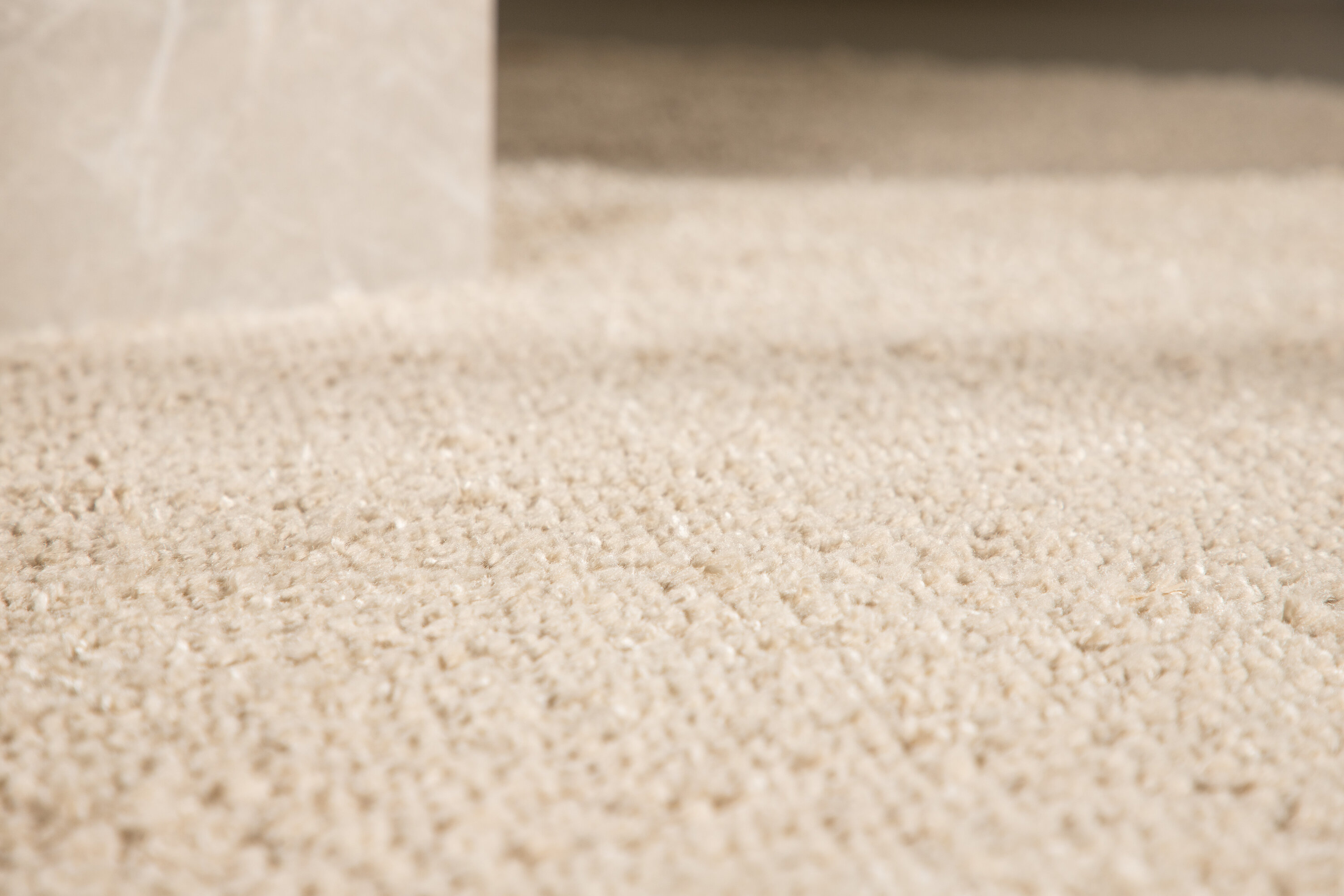 Walter tapis de salon beige 230 x 160 cm en situation dans une pièce décorée