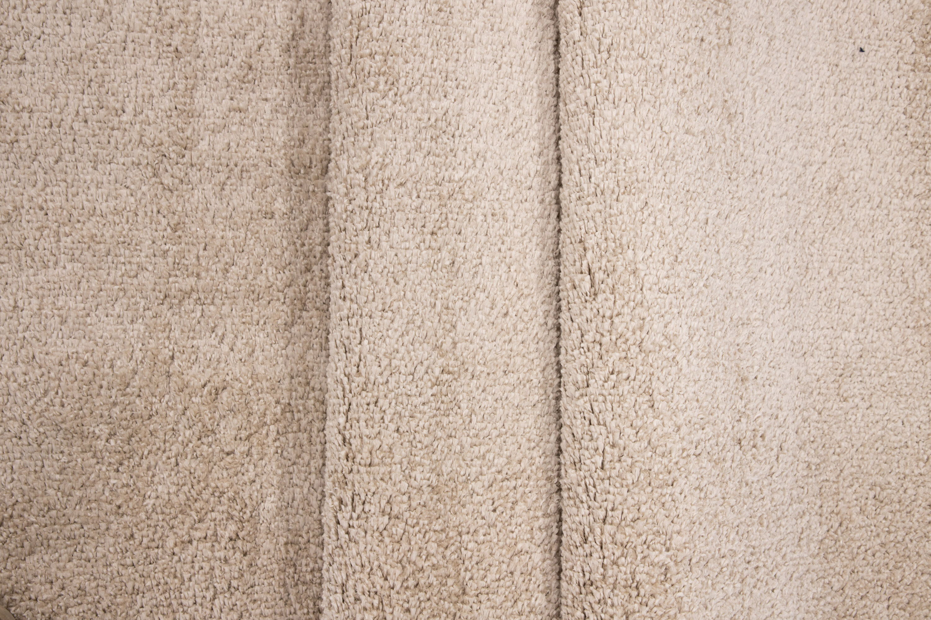 Walter tapis de salon beige 230 x 160 cm sur fond clair