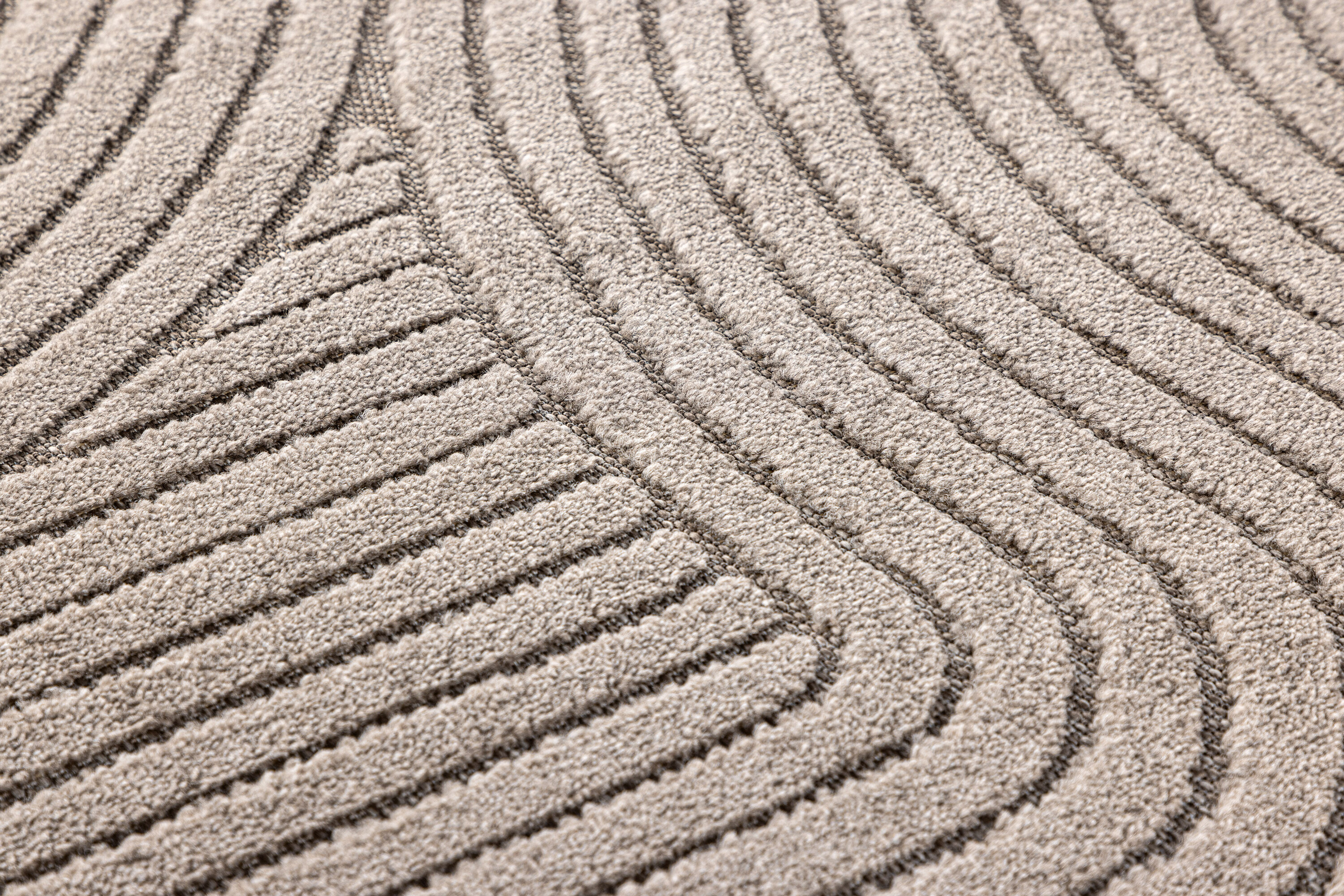 Vince tapis de salon marron 290 x 200 cm sur fond clair